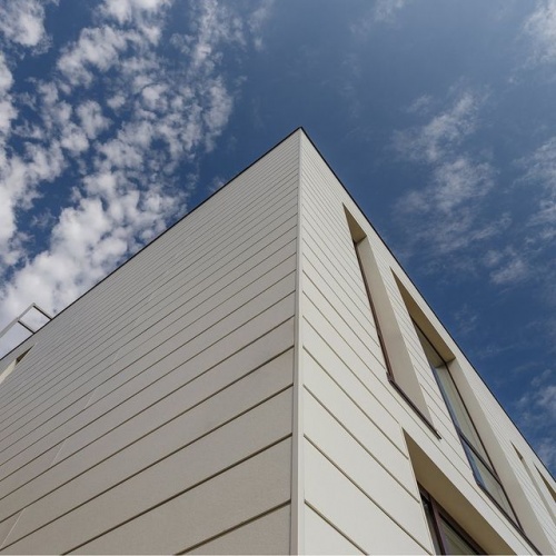 Сайдинг CEDRAL smooth (гладкий) С11